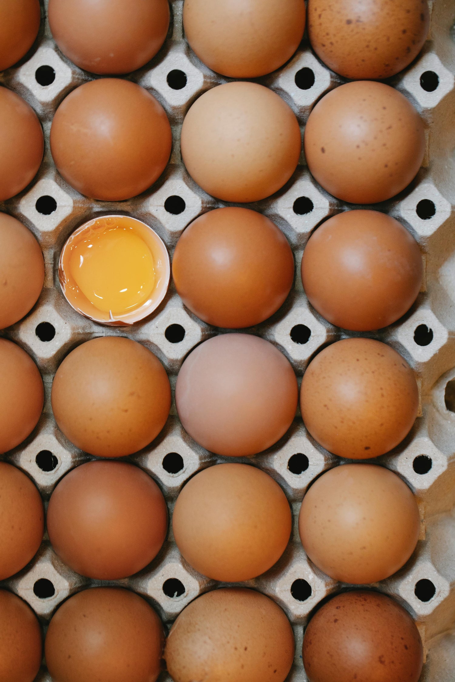 Egg-citing Creations: Elevate Your Eggperience with delishUp⤴️